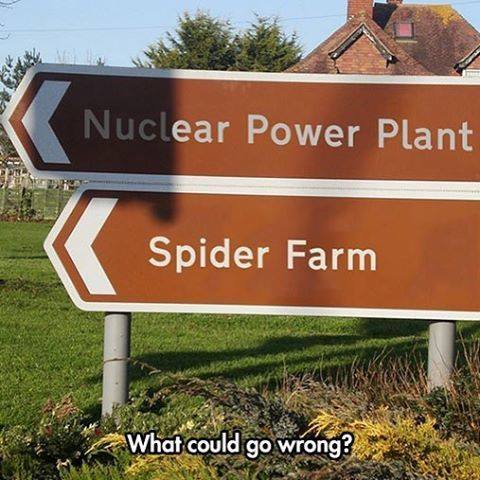 nuclear spider