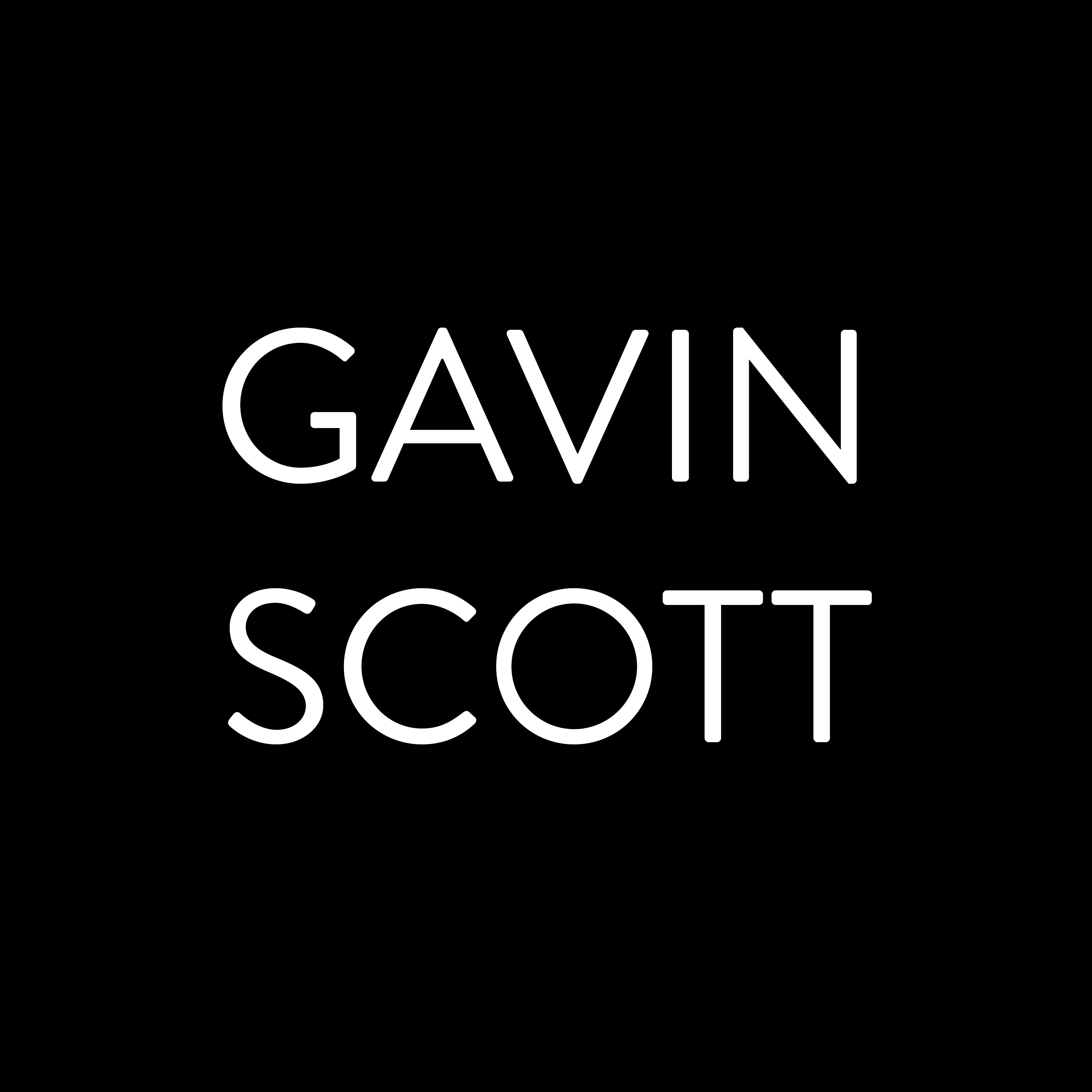 Gavin Scott
